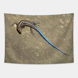 Blue Tailed Lizard 2 Tapestry