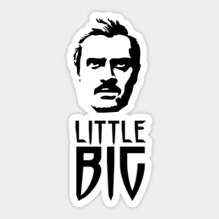 Big Little Stickers