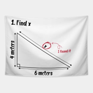 find x i found it Funny Math Tapestry