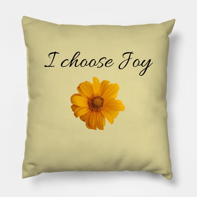 I choose Joy Pillow by Said with wit