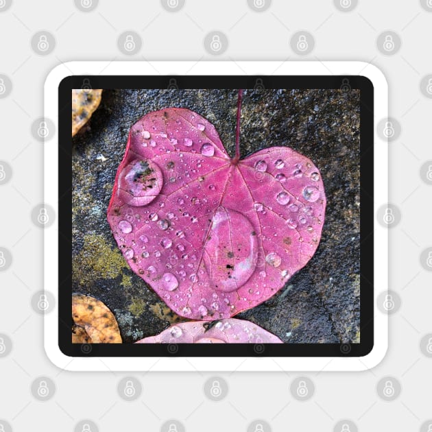 Love is Everywhere! Magnet by Photomersion