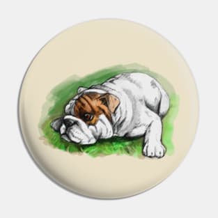 Bulldog Drawing Pin