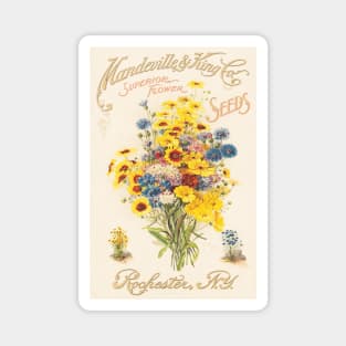 Mandeville & King Co., superior flower seeds (1907) Magnet