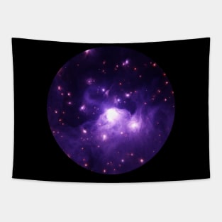 Purple nebula with stars Tapestry