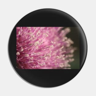 Pink Flowers Pin