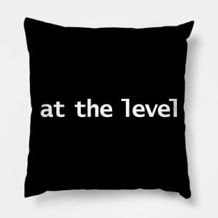 At The Level Pillow