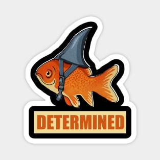 Determined Motivational, Goldfish Shark Magnet