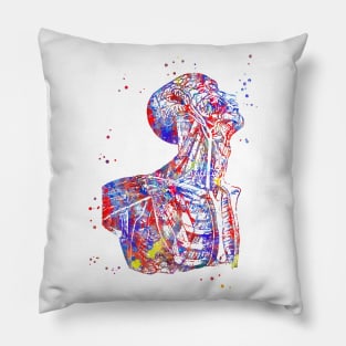 Human anatomy, human body, torso Pillow