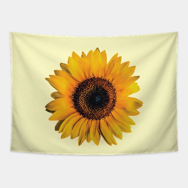 Big Sunflower Blooming Tapestry by Spirit Animals 21