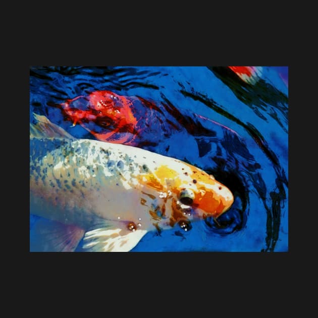 Koi Fish by johnwebbstock