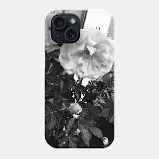 Black and White Photo of Roses Phone Case