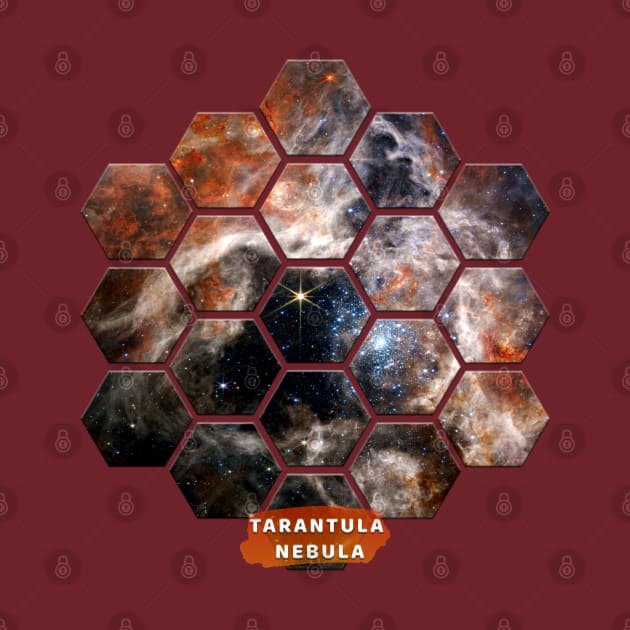 Tarantula Nebula: James Webb Space Telescope by Da Vinci Feather