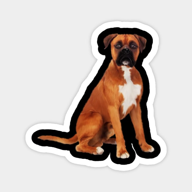 Boxer Dog, Brown Boxer Dog Lover Magnet by logiamerch