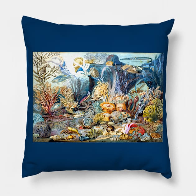 Ocean Life, James M. Sommerville 1859 Pillow by rocketshipretro