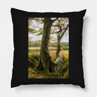 Autumn Tree Landscape Scene Pillow