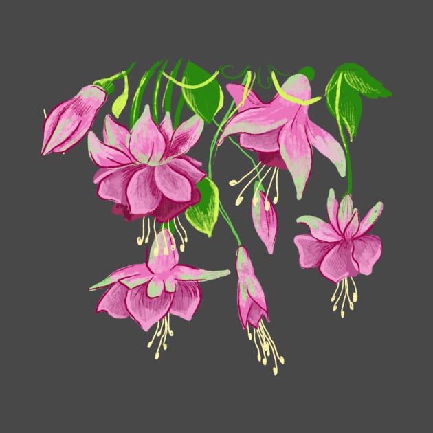Fuchsia flower by pimkie