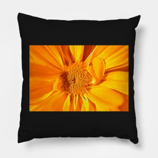 Floral Gold Pillow