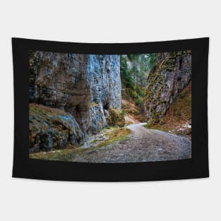 Deep canyon Tapestry