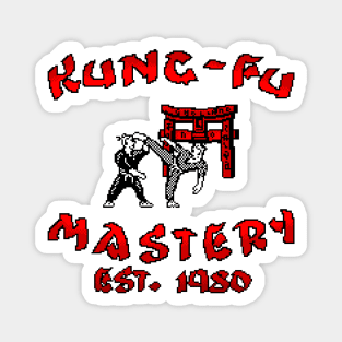 Kung Fu Mastery 8 Bit Art Magnet