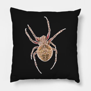 Fierce Orb-Weaver Spider Pillow