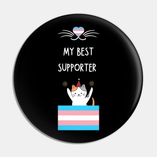 trans rights Pin