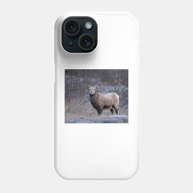 Rutting Ram Phone Case by StevenElliot