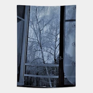Window - Nature and landscape Tapestry