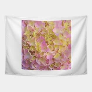 Yellow and Rose French Hydrangea Close Up Tapestry