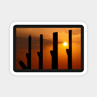 Pillars at sunset with a stark Magnet