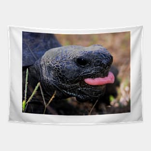 Florida gopher tortoise Tapestry