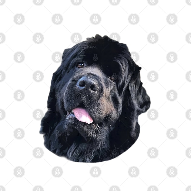 Newfoundland Puppy Dog Very Cute by ElegantCat