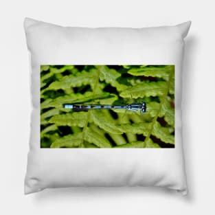 Damselfly Pillow