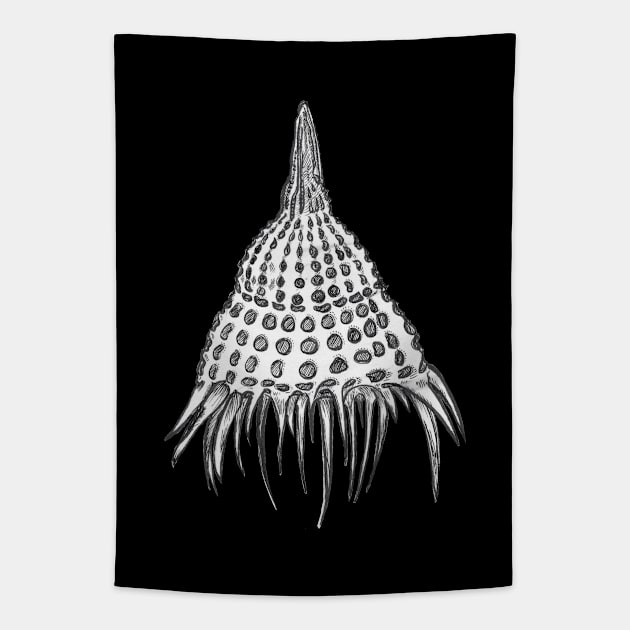 Lamprocyclas maritalis, radiolarian Tapestry by TRJ NOLA