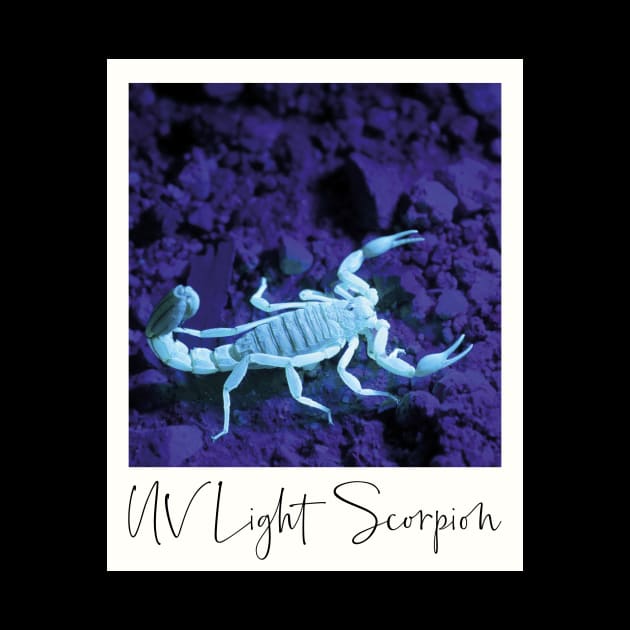 Scorpion UV Light Photo by BlueTodyArt