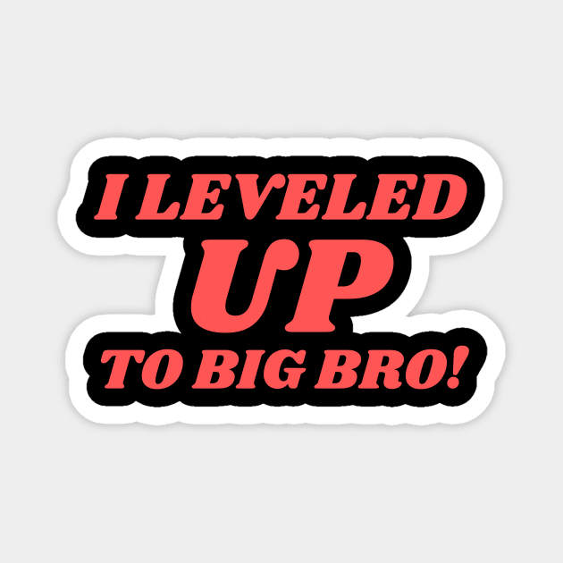 I Leveled up to Big Bro New Brother Gift Magnet by wapix