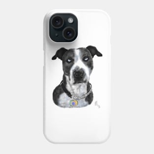 Black and White Pit Bull With Blue Eyes Phone Case