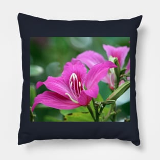 Flower Pillow