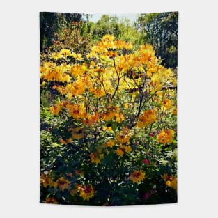 Orange Azalea Tapestry