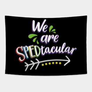 Sped Teacher Special Education Teacher Gift Ed Tapestry