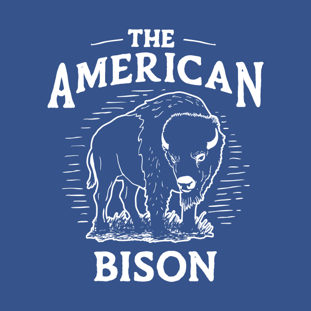 The American bison by Wintrly