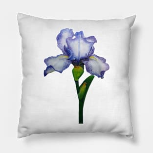 Little Iris Pillow