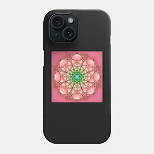 Asian spring 2 Phone Case