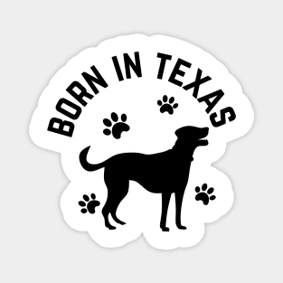 Born In Texas Magnet