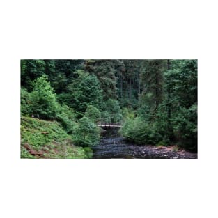 Silver Falls State Park Oregon T-Shirt