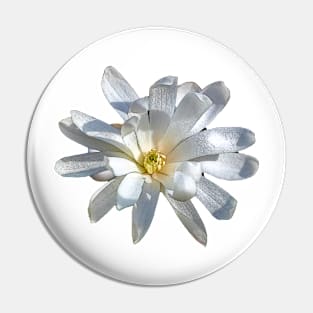 white flower Pin