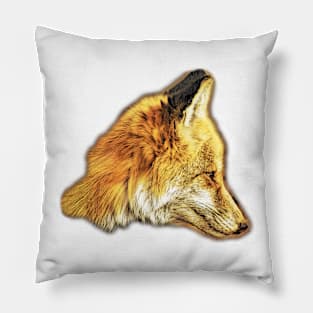 Orange Fox Pillow