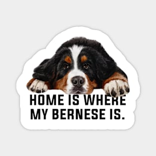 Bernese mountain dog Magnet