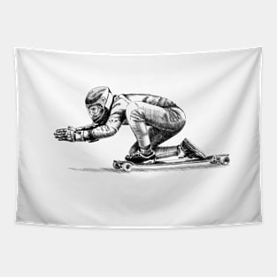 Londboard skater Tapestry