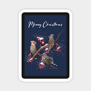 Bohemian Waxwings Christmas Card Magnet