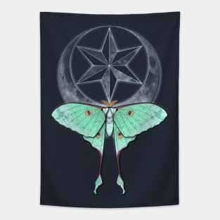 Atlas Moth Tapestries Teepublic